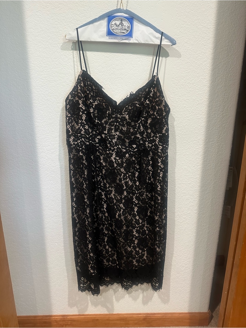 Black Lace Slip Knee Length Dress with Nude Lining and Thin Straps